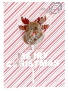 Lolli Letter A5 kort Merry Christmas rensdyrsslikkepind