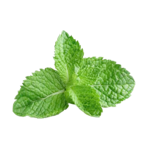 Pebermynte naturlig aroma 10 ml