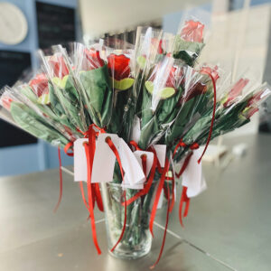 Rød rose pakket ind i silkepapir og cellofan